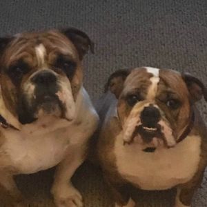 Meet your Posher, Holmes